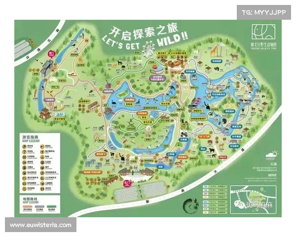 打造极致刺激过山车与野生动物园体验的全面指南 打造极致刺激过山车与野生动物园体验的全面指南