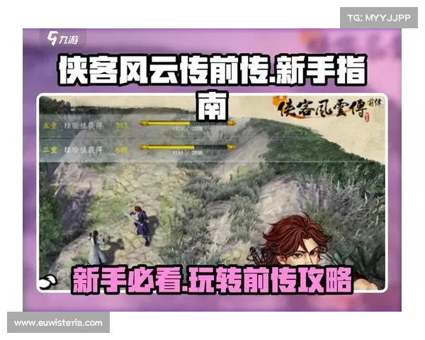 侠客风云传挑战与探险全方位终极攻略全面解析技能培养与策略选择